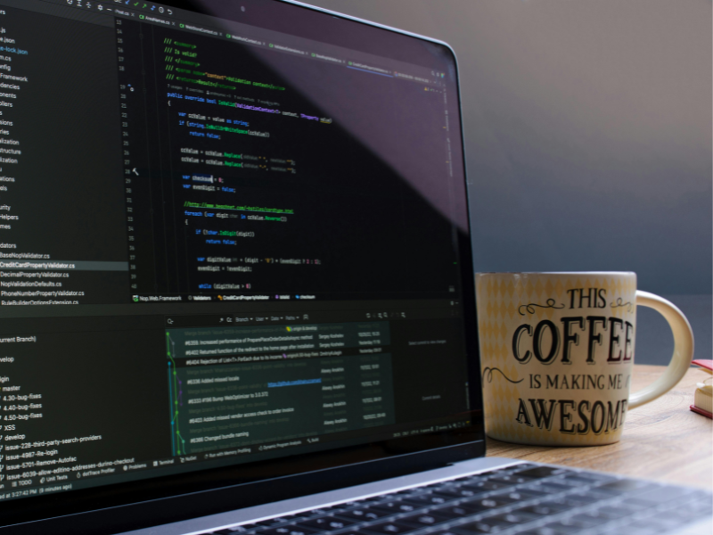 Desarrollo Web Profesional