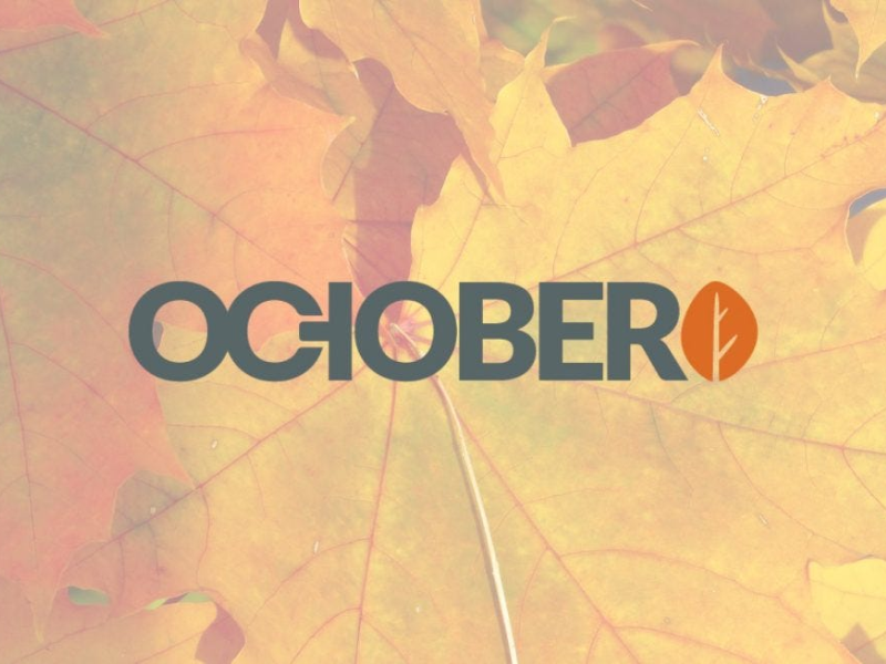 October CMS Partner